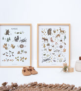 NORWOOD – Affiche Enfant - Animaux des bois Chiffres